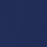 Aspendos Suni Deri 1