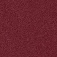 Aspendos Suni Deri 2