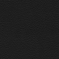 Aspendos Suni Deri 3