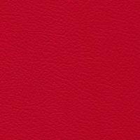 Aspendos Suni Deri 4