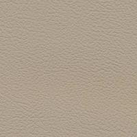 Aspendos Suni Deri 5