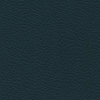 Aspendos Suni Deri 6