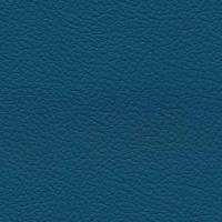 Aspendos Suni Deri 7