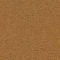 Aspendos Suni Deri 8