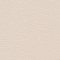 Aspendos Suni Deri 9